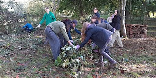 Youth Rangers - extra session! | Fromebridge Mill