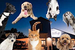 Paint your Pet— Paint and Sip Night! | Fitzhugh Brewing