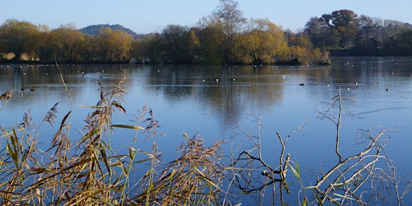 Blashford Lakes  Wildlife Tots | Blashford Lakes Nature Reserve