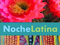 ¡Noche Latina! | Kaleider
