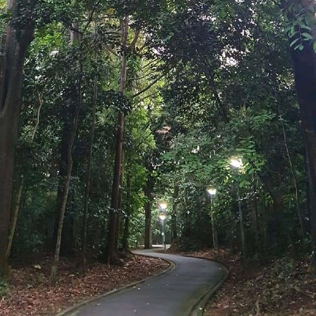 Sunset at Yishun Park