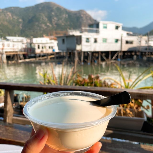 漁村之旅(一)😽 漁村之旅(一)😽
