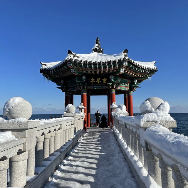 [속초 여행] 겨울 명소추천🌬