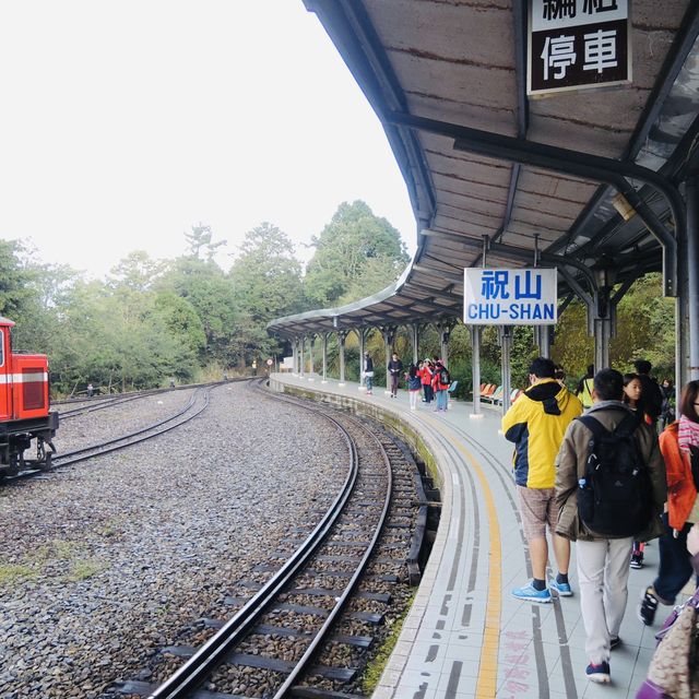 阿里山高空觀景