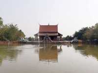 คำชโนดแค่เอื้อม วัดป่าคลอง11