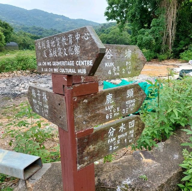 老少咸宜郊遊樂-荔枝窩