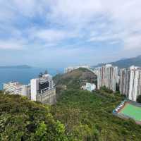 玉桂山