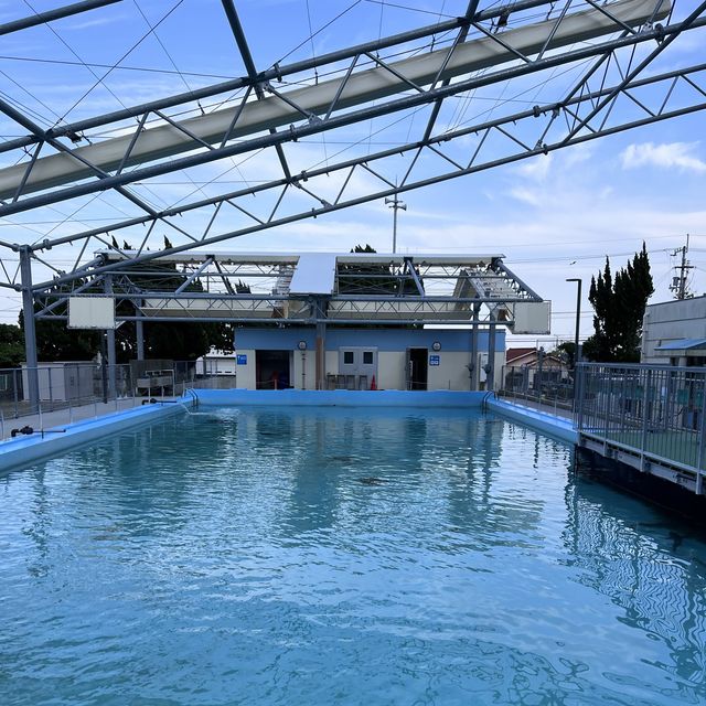 【高知】元小学校🏫むろと廃校水族館