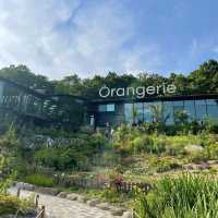 세련된 🌿플랜테리어🌿 돋보이는 양주 카페 <오랑주리>