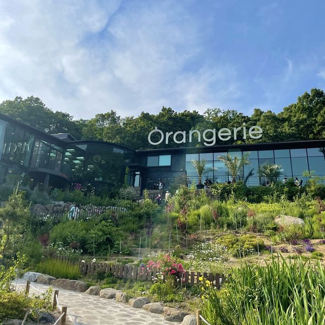 세련된 🌿플랜테리어🌿 돋보이는 양주 카페 <오랑주리>