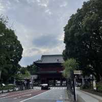 【東京都】東京タワーをバックに増上寺
