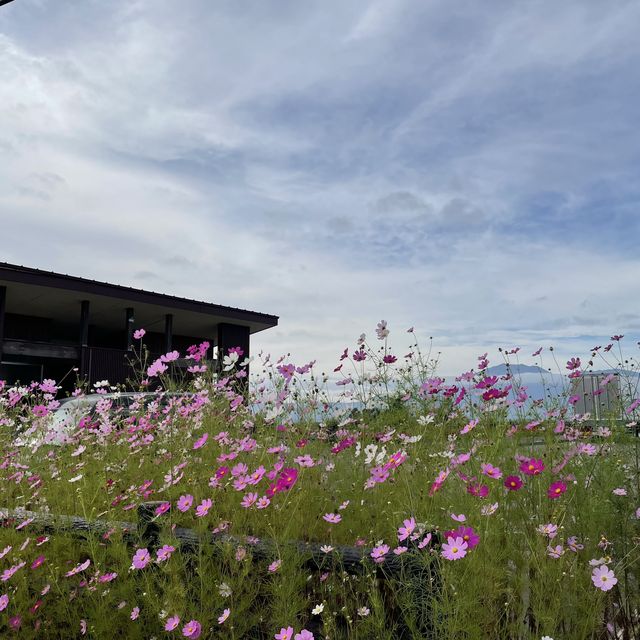 【群馬県】嬬恋村に秋の訪れ🥬🌸