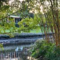周未行山好去處-mount coot botanic garden 