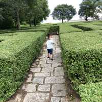 《親子活動～暢遊天水圍濕地公園》