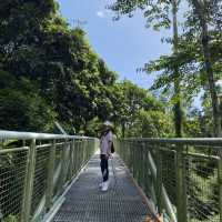 Sepilok Rainforest Discovery Centre 