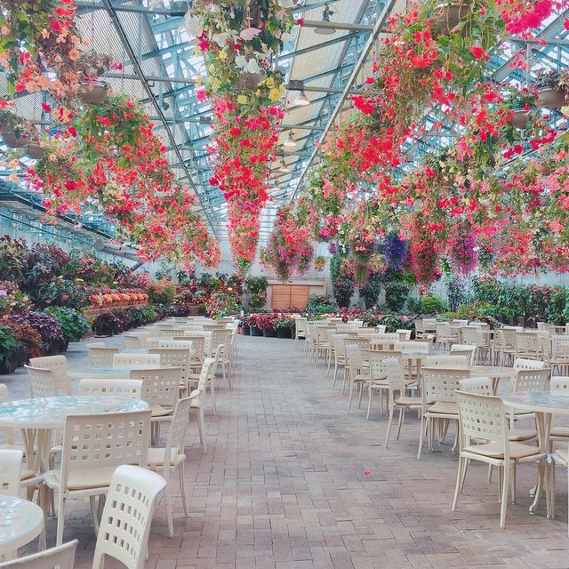 【日本 三重】日本最大規模花海 🌹🌷🌺🌸🌼