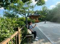 Deokjin Park Day View 
