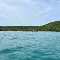 เกาะแตน ชมปะการัง