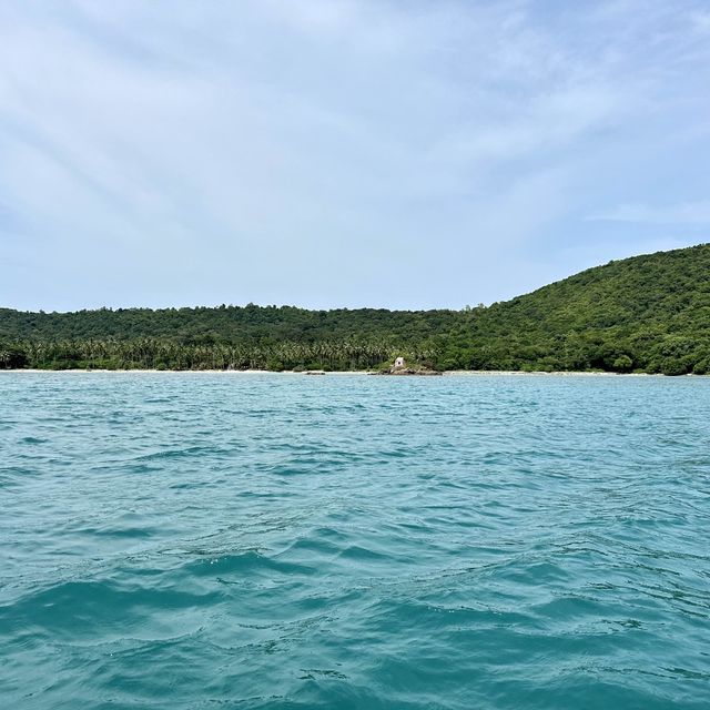 เกาะแตน ชมปะการัง