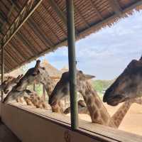 Safari World in Bangkok 🦒🐅🦓