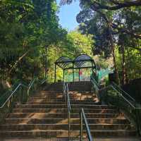 香港舊式公園~坪石遊樂場