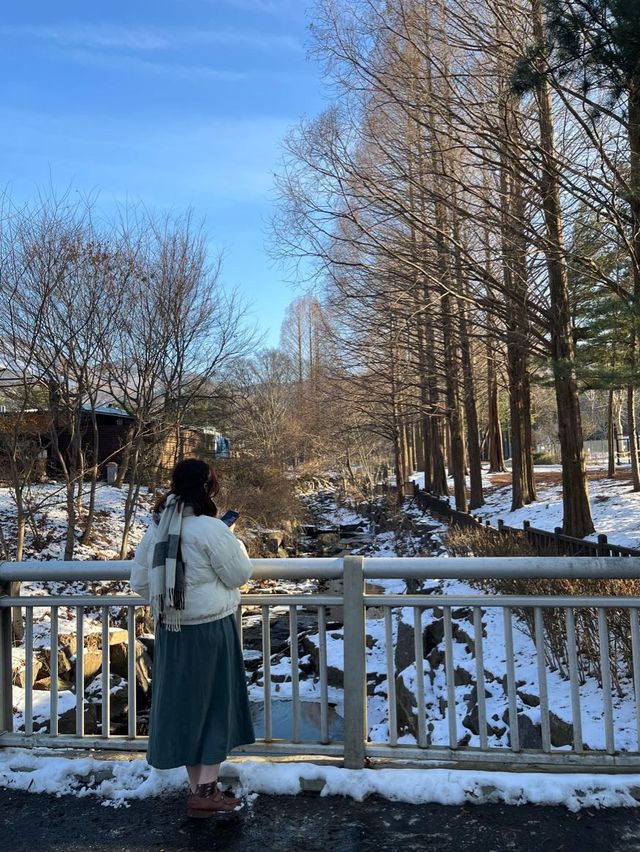 ［雪地天空纜車］(⁎⁍̴̛ᴗ⁍̴̛⁎）體驗首爾嘅冬天氣息