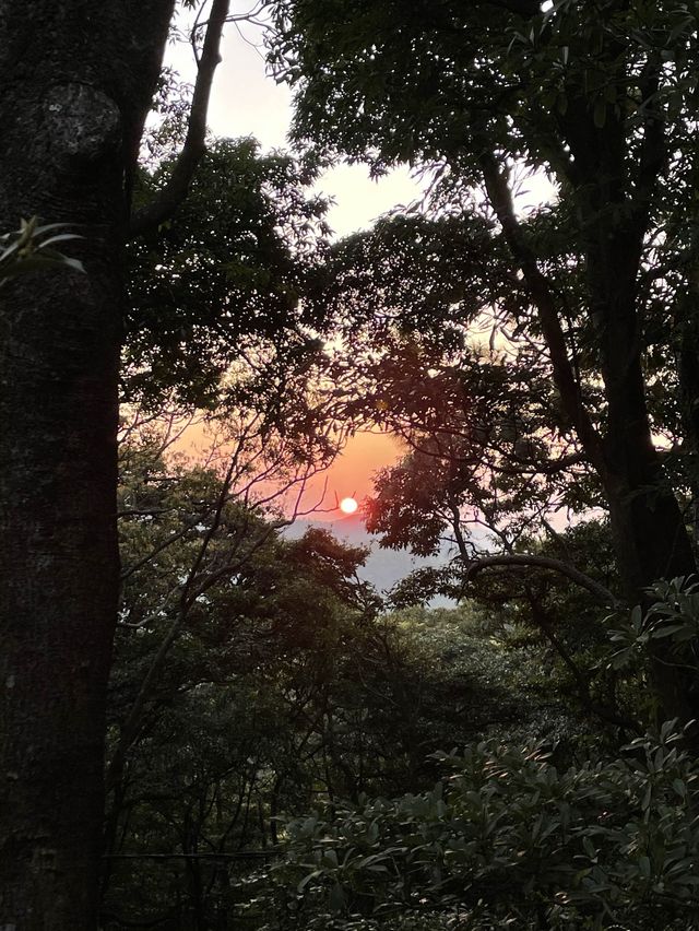 香港行山丨 360度睇妙高台大帽山南脊瞭望台