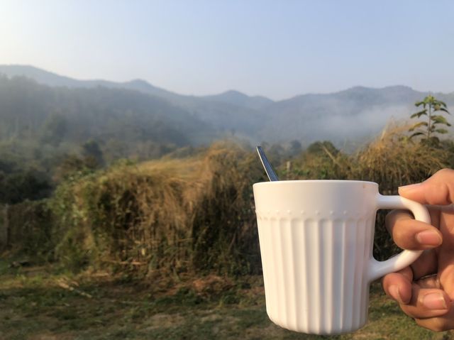Campiness Camping & Farmsook