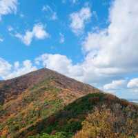 [Voyage 61] 계양산의 아름다운 가로수길🍁🍂
