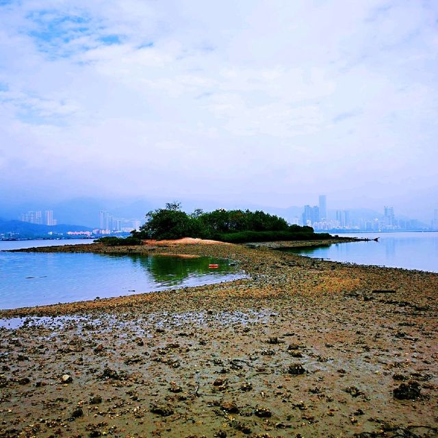 連島沙洲 －水浸咀排； 通天洞－芝麻籠