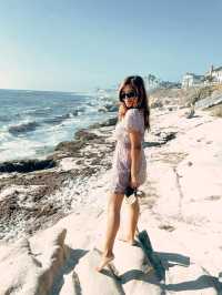 Seals and Seagulls at La Jolla beach