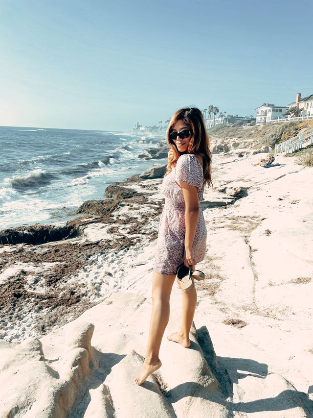 Seals and Seagulls at La Jolla beach