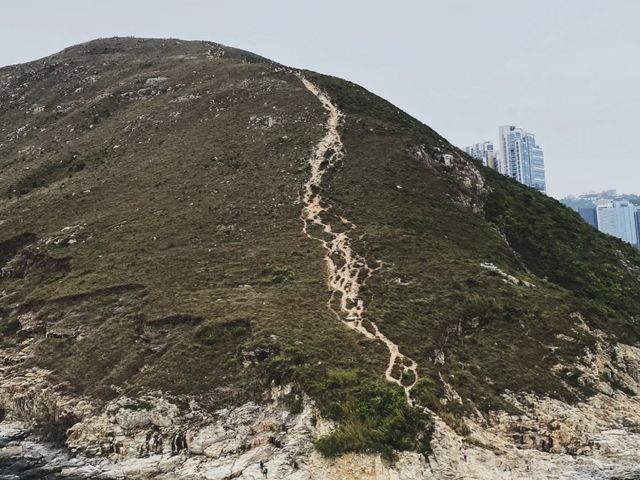 香港行山路徑-玉桂山｜鴨利排🏞挑戰級☠️