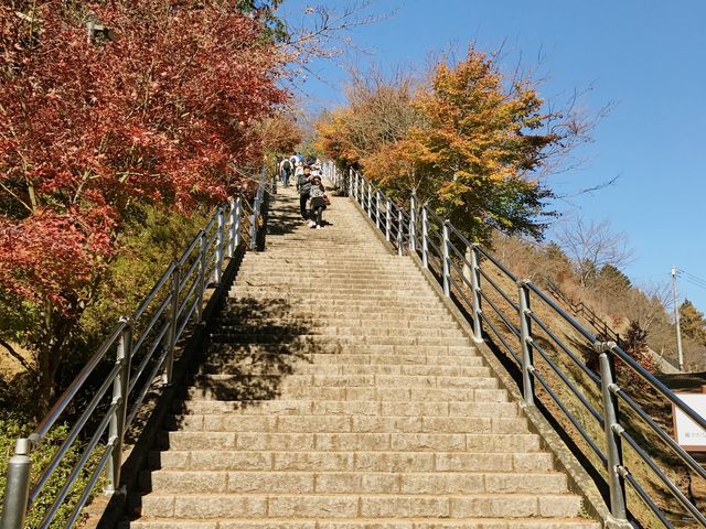 五重塔の絶景