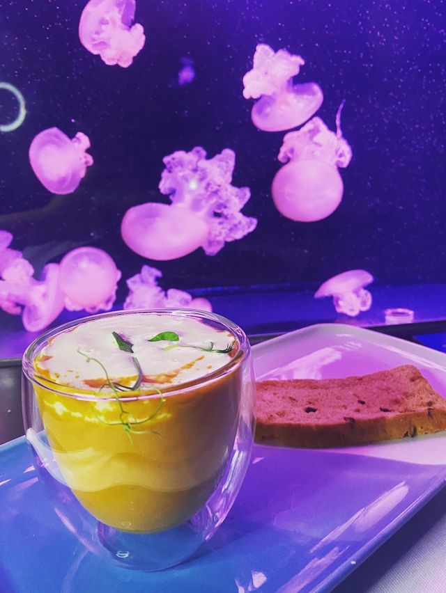 望住水母食野愛不愛