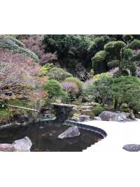 【神奈川・鎌倉】報国寺 竹林