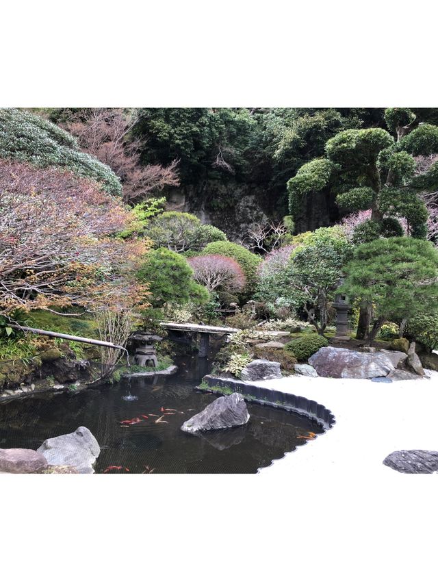 【神奈川・鎌倉】報国寺 竹林