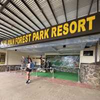 Dahilayan Forest Park Resort 🍃