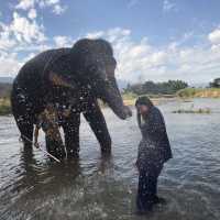 Thom’s Pai Elephant Camp