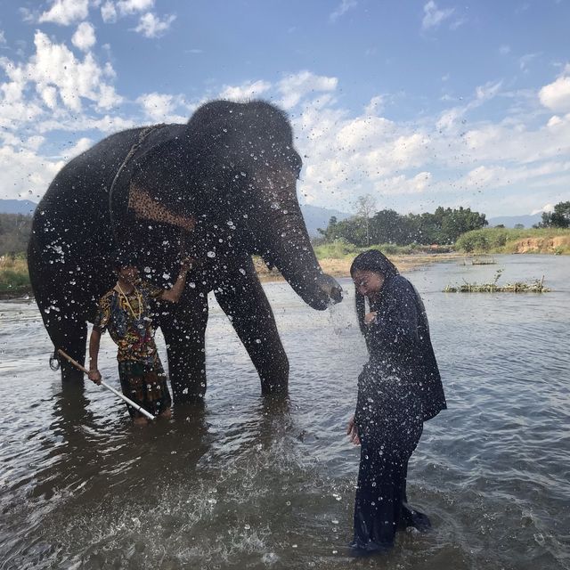 Thom’s Pai Elephant Camp