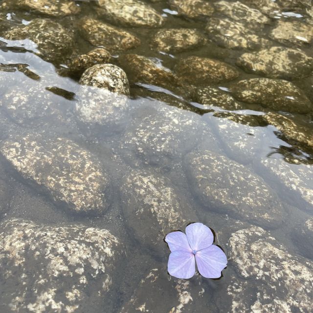 水遊びできる公園ならここ三ツ池公園