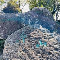 針山草山大帽山