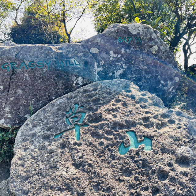 針山草山大帽山