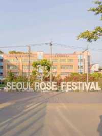 서울 꽃구경 장소 추천, 중랑장미공원