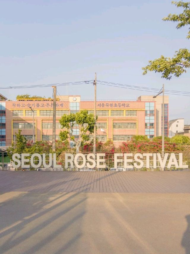 서울 꽃구경 장소 추천, 중랑장미공원