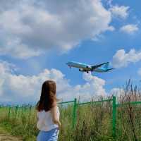 비행기와 인생샷찍기✈️