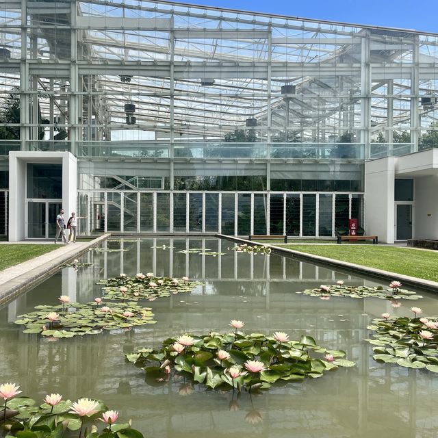 帕多瓦植物園，出名在最早