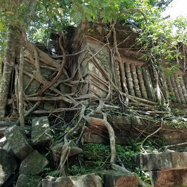 【カンボジア・シェムリアップ】密林の中の神秘的なベンメリア遺跡