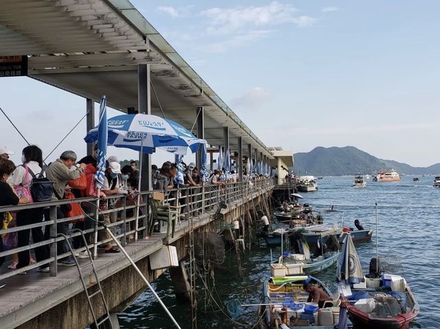 西貢貼地行