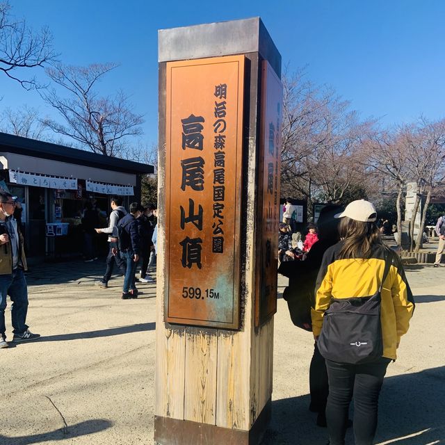 Catching Mt Fuji on Mt Takao 😍